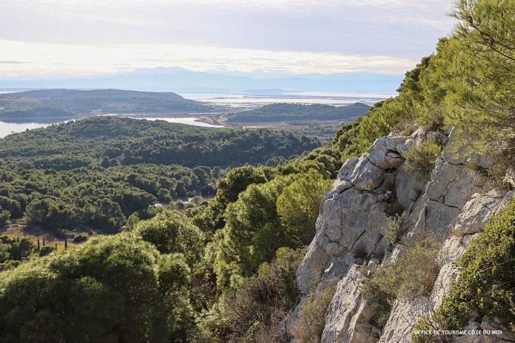 Villa Tamaris Gruissan Kültér fotó